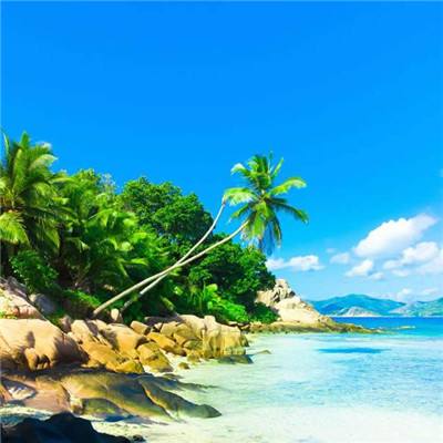 AG官方平台下载地址app下载